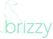 brizzy